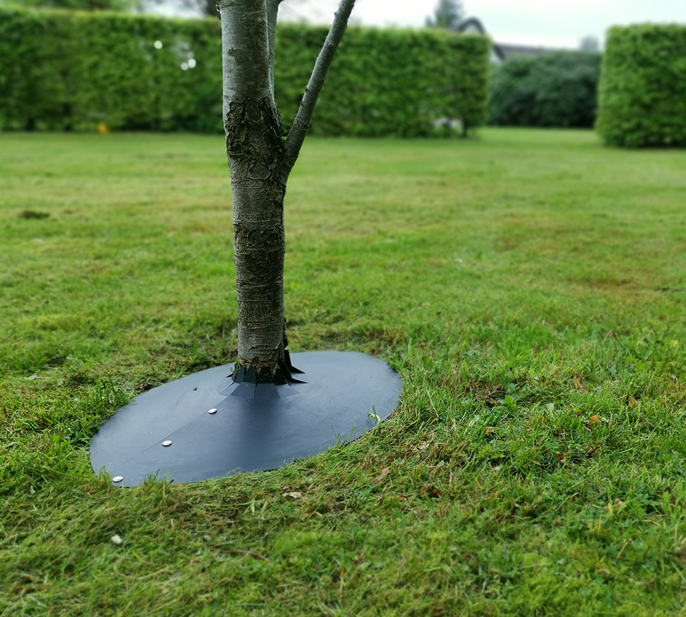 Avilnord.dk-TreeCover-speed-cut