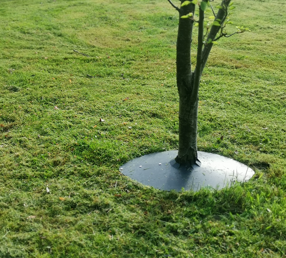 Tree-cover-speed-cut-Avilnord.dk